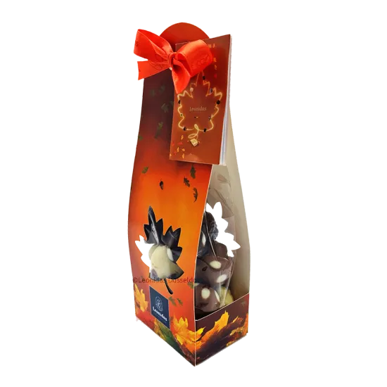 Leonidas Autumn Giftbag